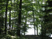 view from upper camp porch